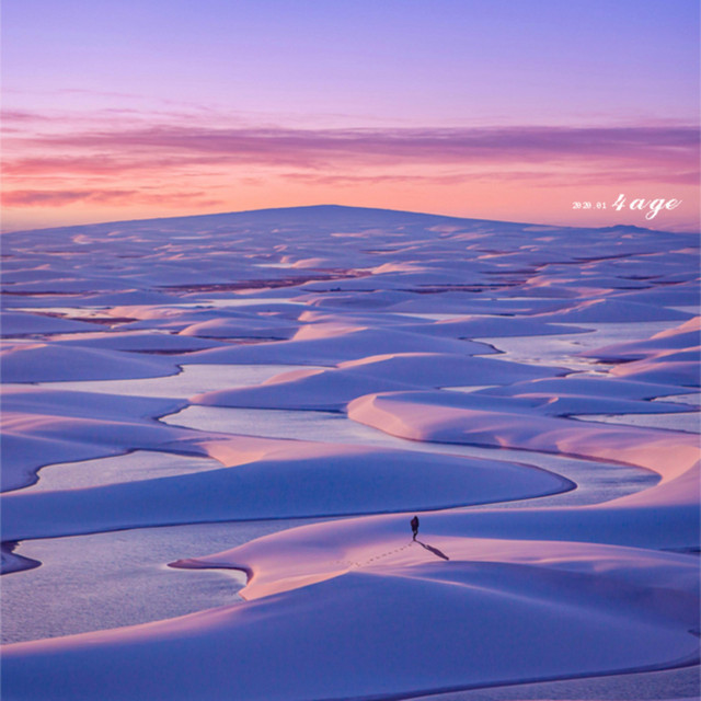 멜론 음악 이미지