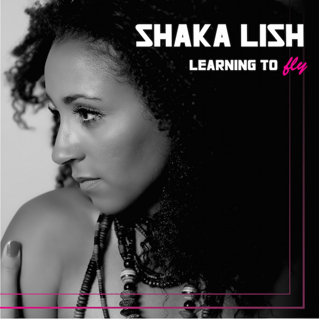 Learning to Fly cover art