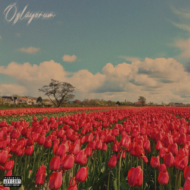 Özlüyorum cover art