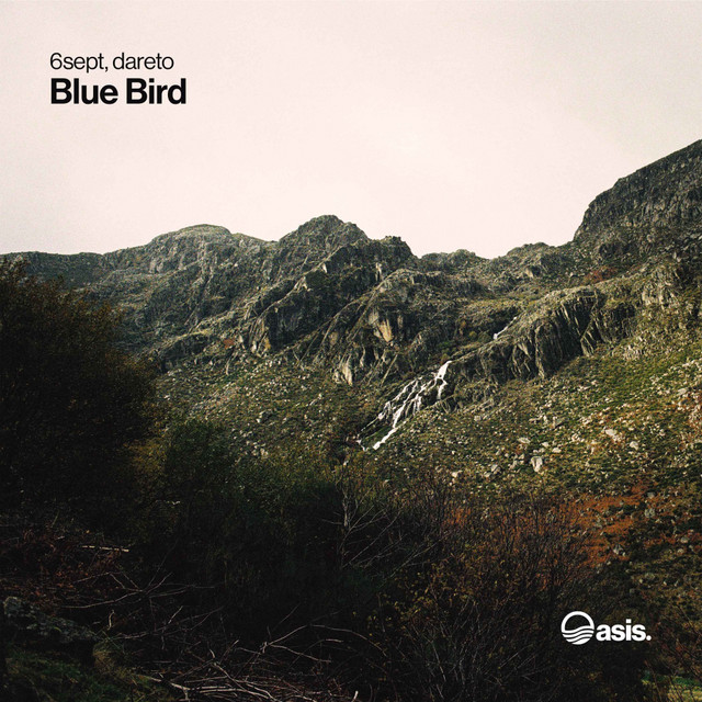 Blue Bird