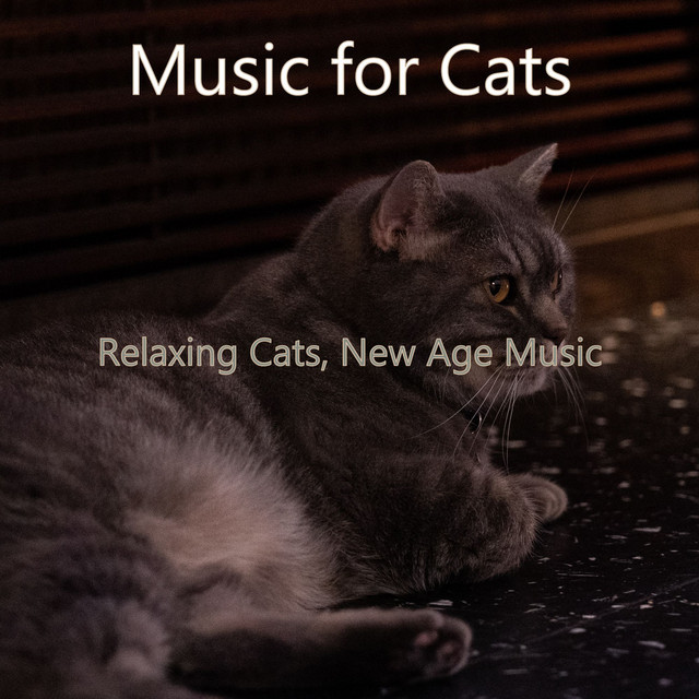 Relaxing Cats, New Age Music cover art