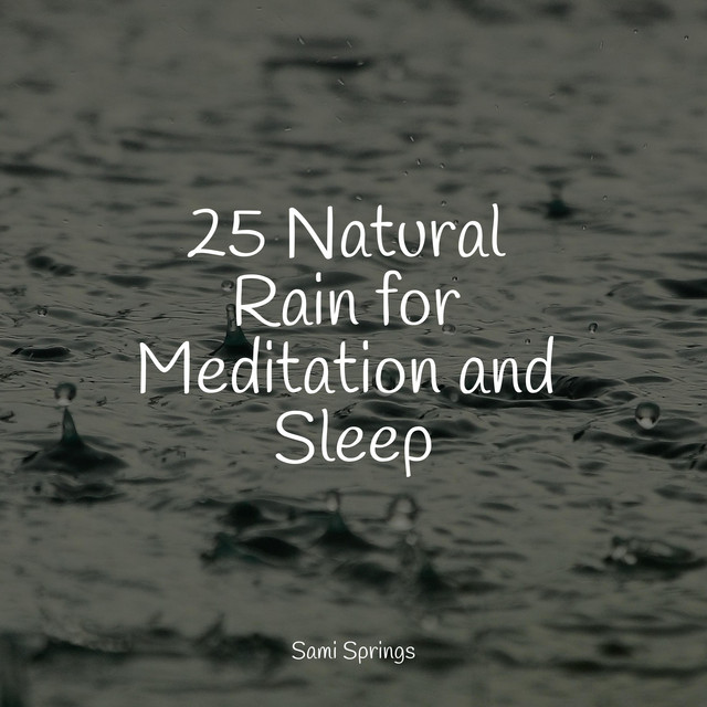 25 Natural Rain for Meditation and Sleep - Album by Ambient Rain | Spotify