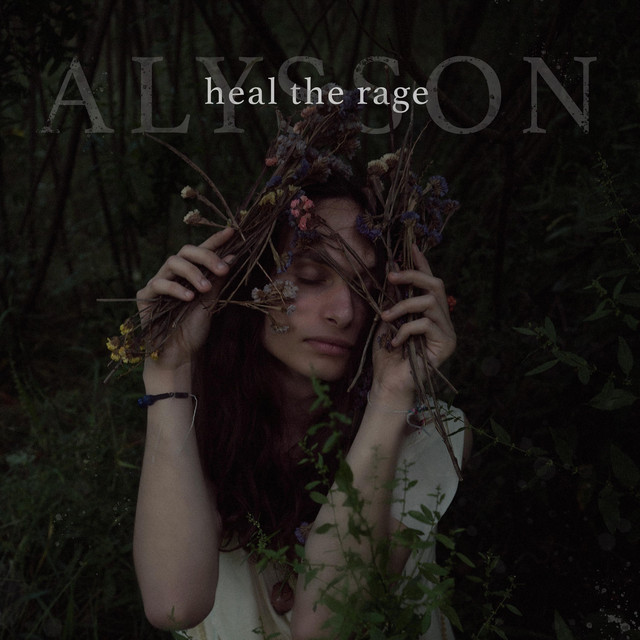 Heal the rage cover art