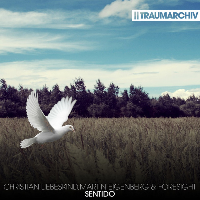 Sentido - Radio Edit