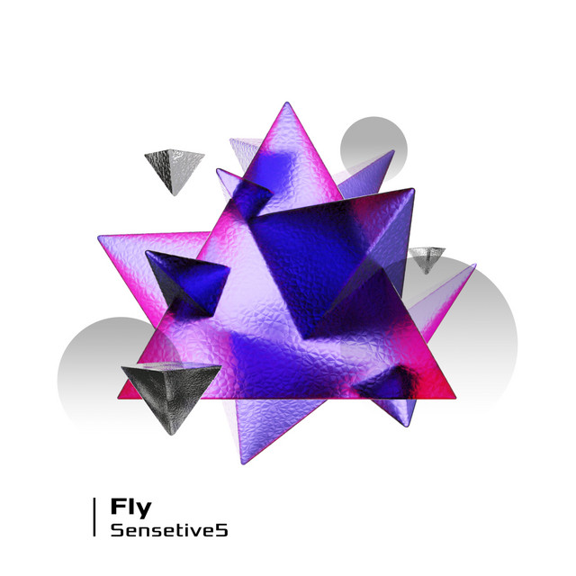 Fly - Extended Mix album art