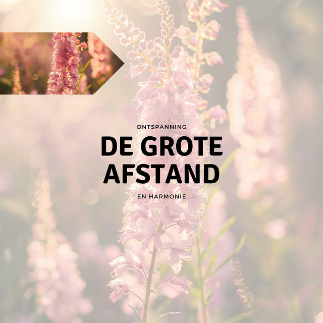 De Grote Afstand cover art