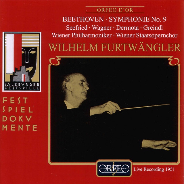Symphony No. 9 in D Minor, Op. 125 "Choral": I. Allegro ma non troppo, un poco maestoso (Live) cover art