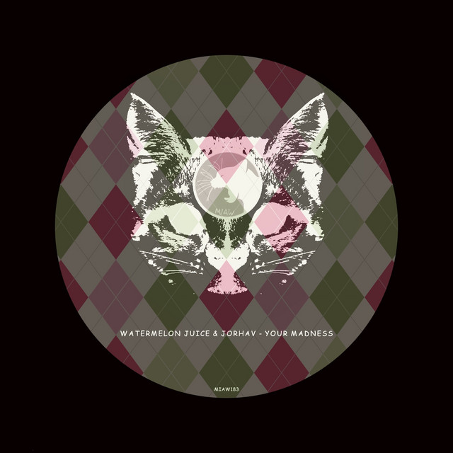 Your Madness album art
