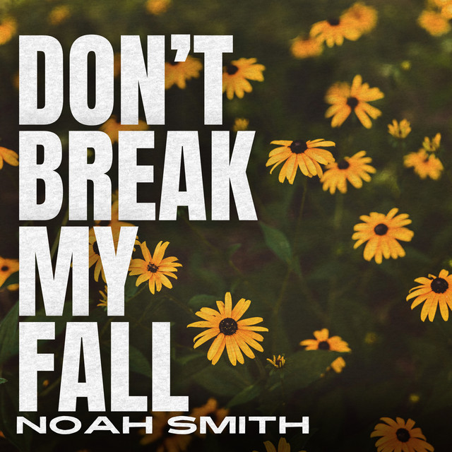Don't Break My Fall (Harmony Hill Sessions) cover