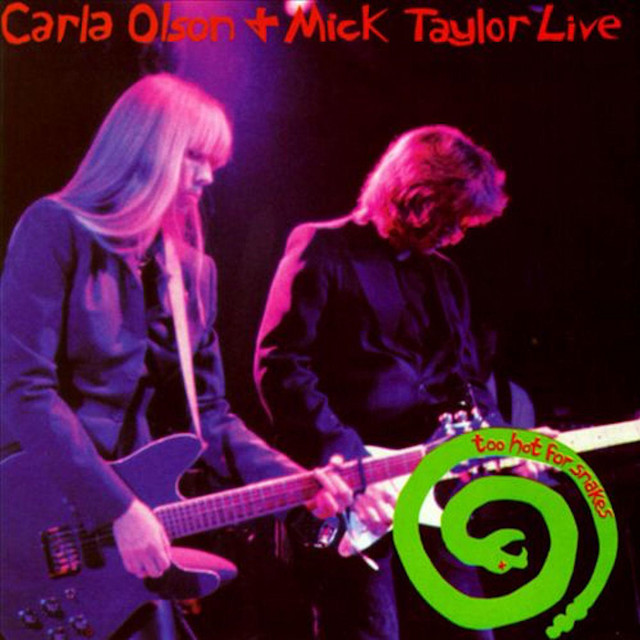Too Hot for Snakes (Live) cover art