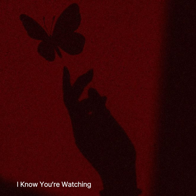 I Know You’re Watching cover art