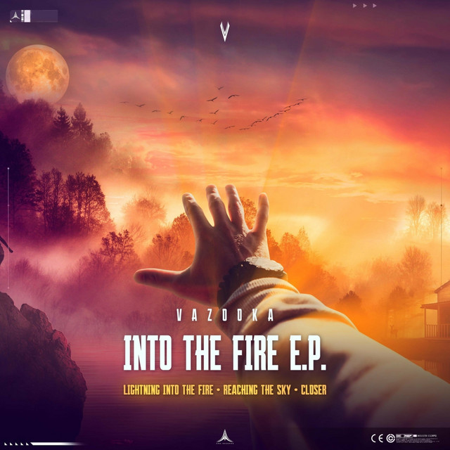 Into The Fire cover art