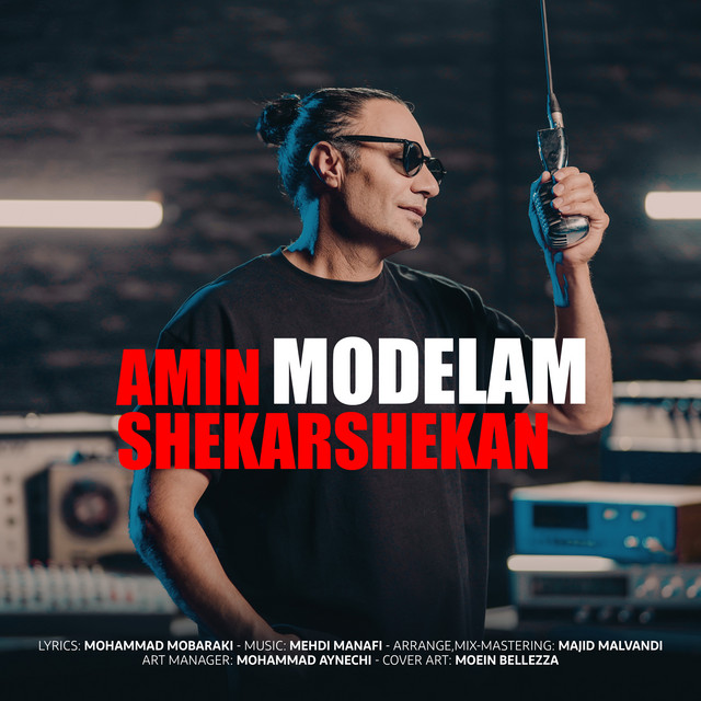 Modelam