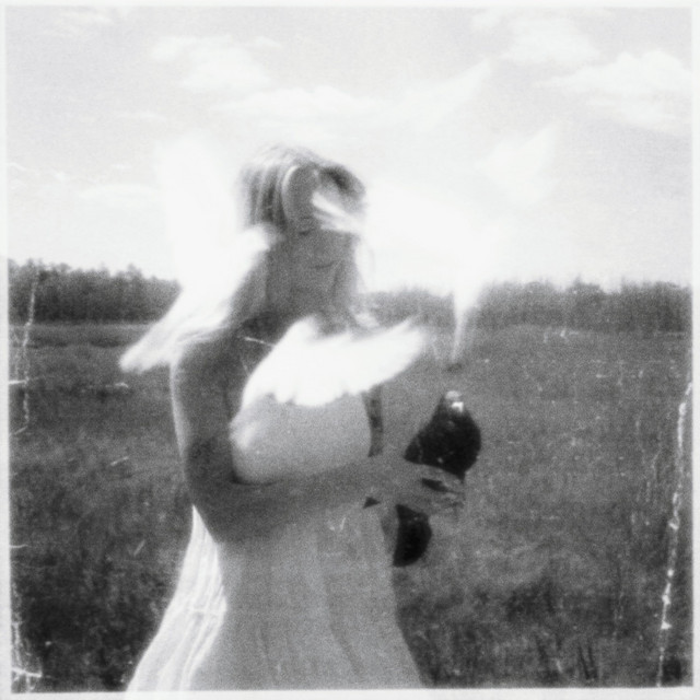 WIGHTNOISE cover art