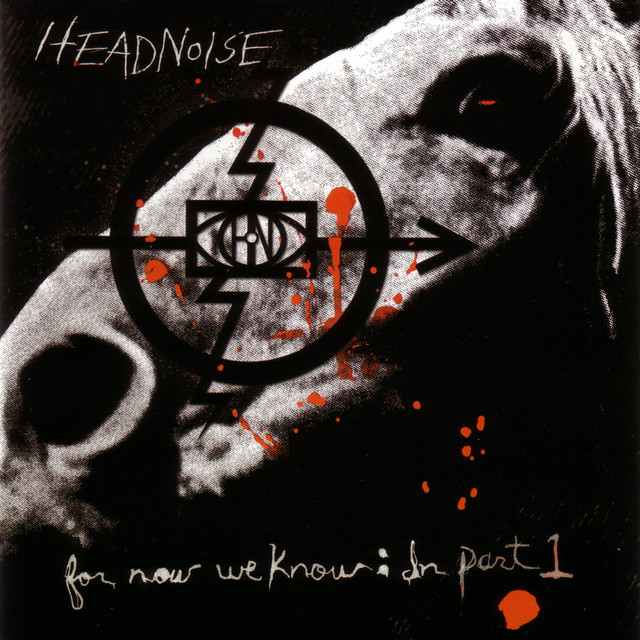 Headnoise Photo