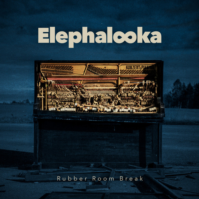 Rubber Room Break cover art