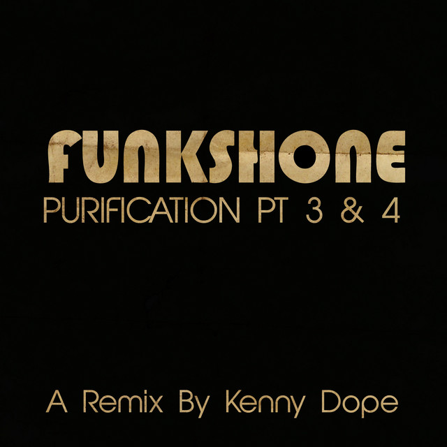 Purification cover art