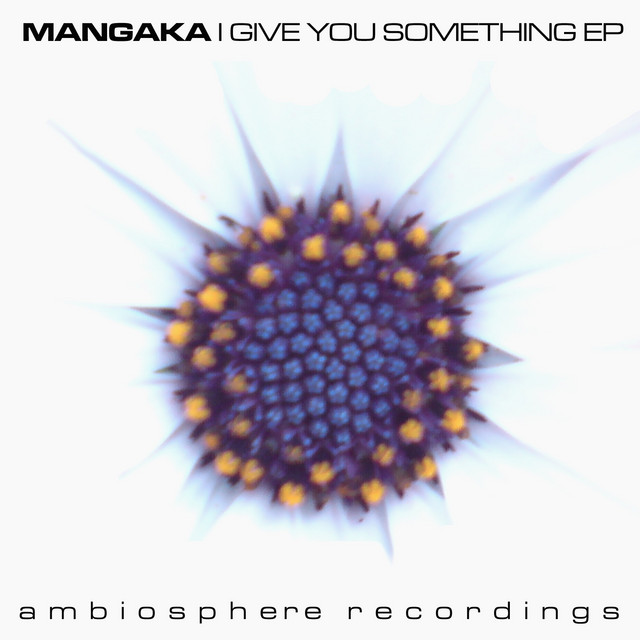 I Give You Something EP cover art