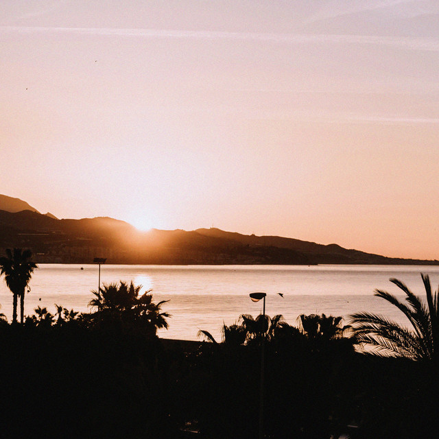 A New Dawn