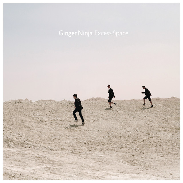Excess Space cover art