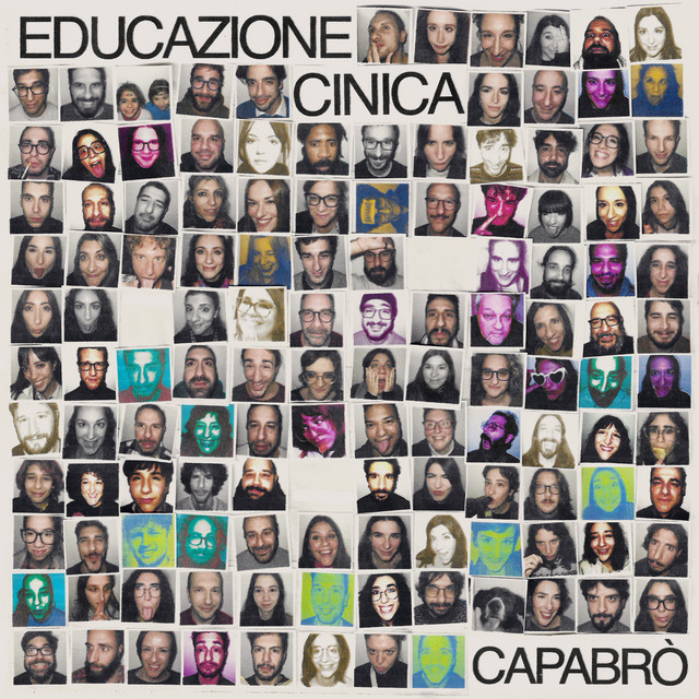 Educazione cinica cover art