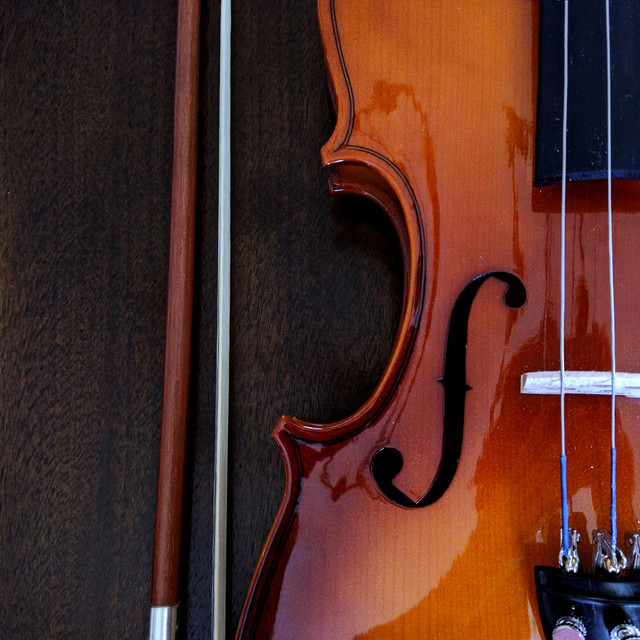 Kakushigoto Chiisana Hibi | Violin Orchestra