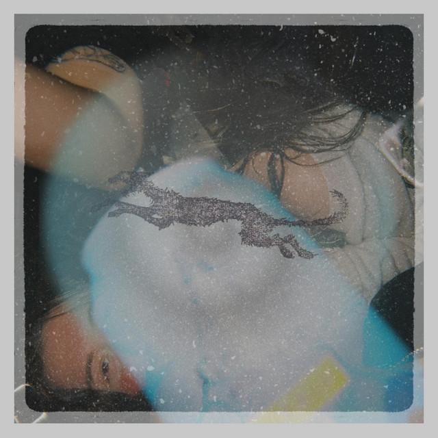 look what the cat dragged in album image