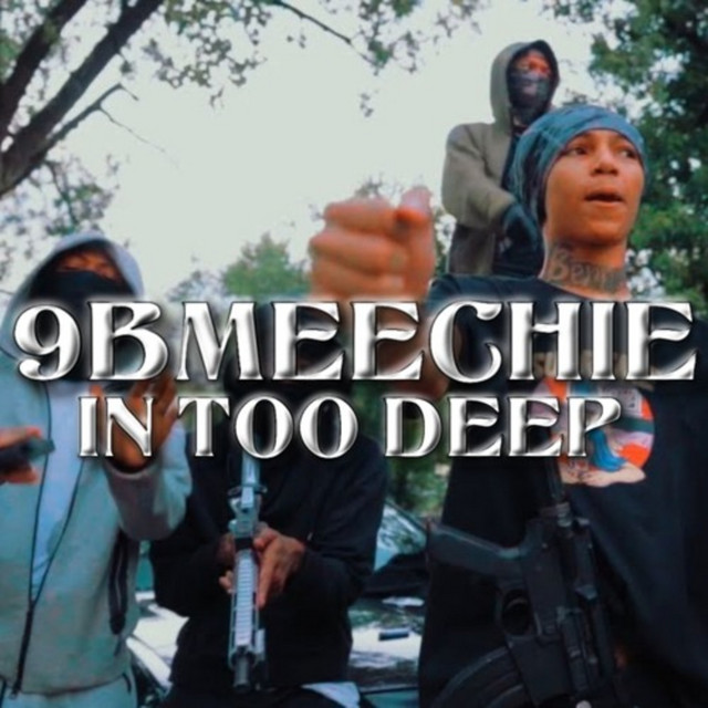 IN TOO DEEP cover art