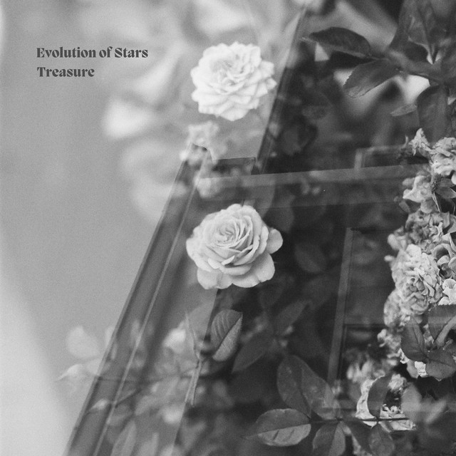 Treasure cover