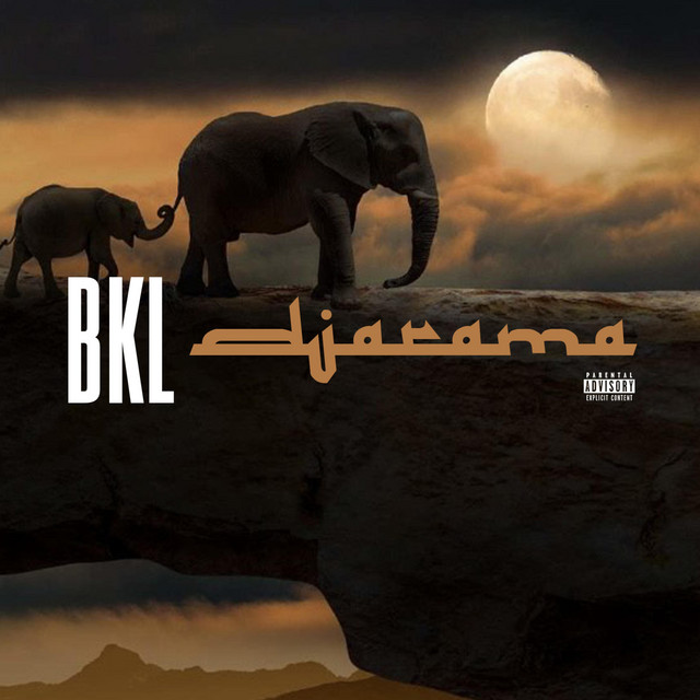 DJARAMA cover art