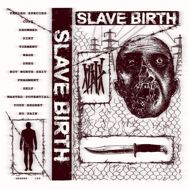 SLAVE BIRTH 2025 cover art