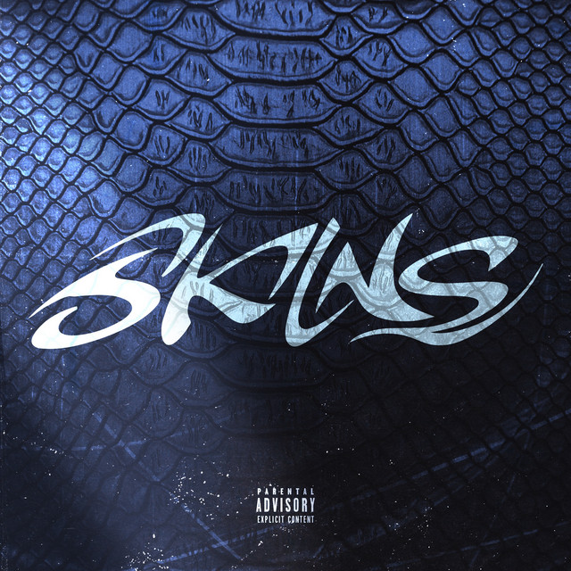 SKINS cover art
