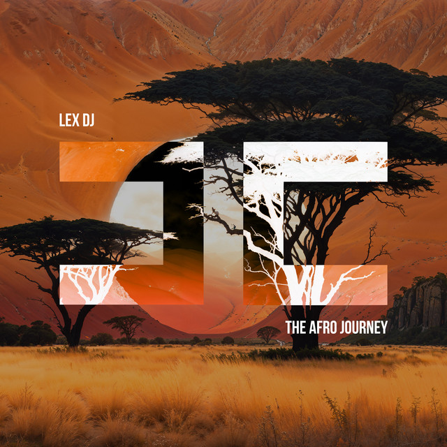 The Afro Journey cover art