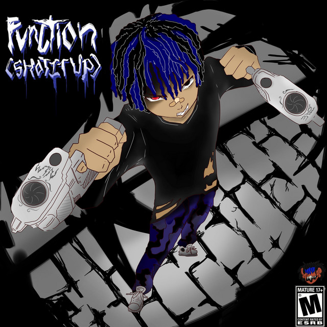 FUNCTION cover art