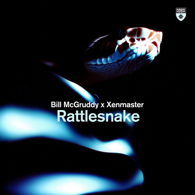 Rattlesnake cover art