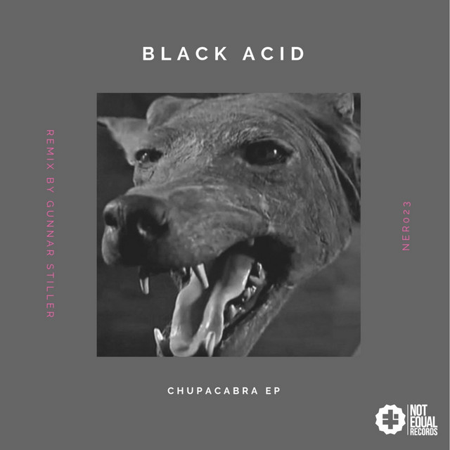 Chupacabra - Gunnar Stiller Remix cover art