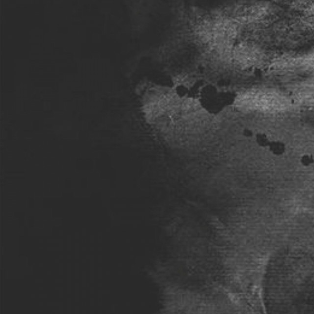 Selva cover art