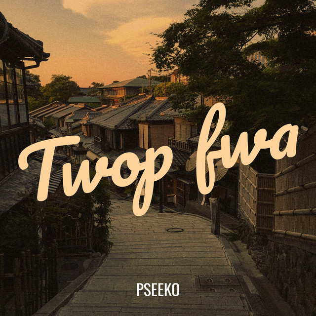 Twop fwa cover