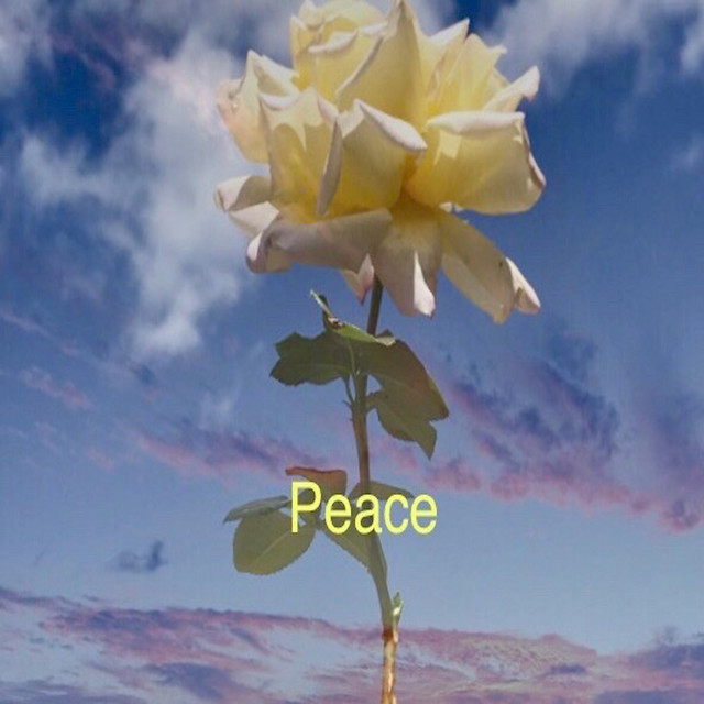 Peace - 2020 Version