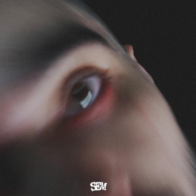 Bulamazsın cover art