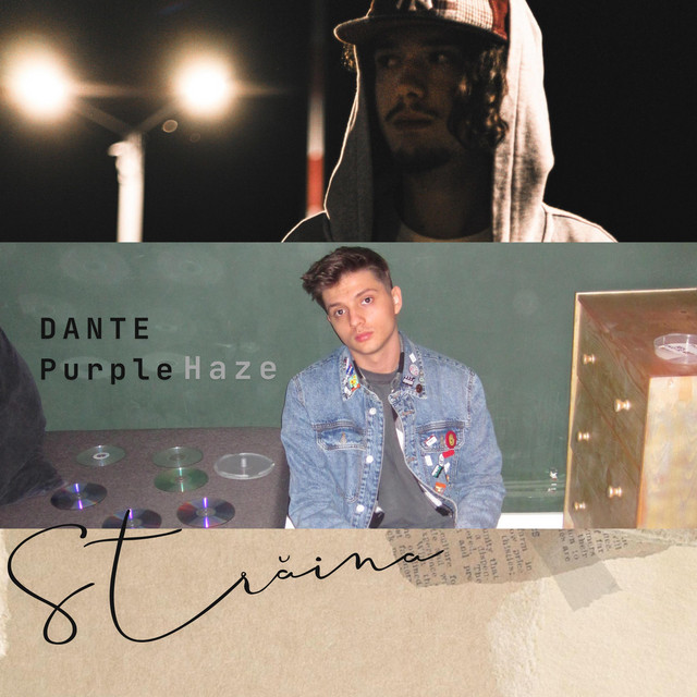 Străina cover art