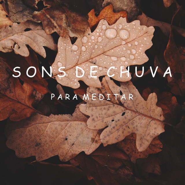 Sons de Chuva para Meditar cover art