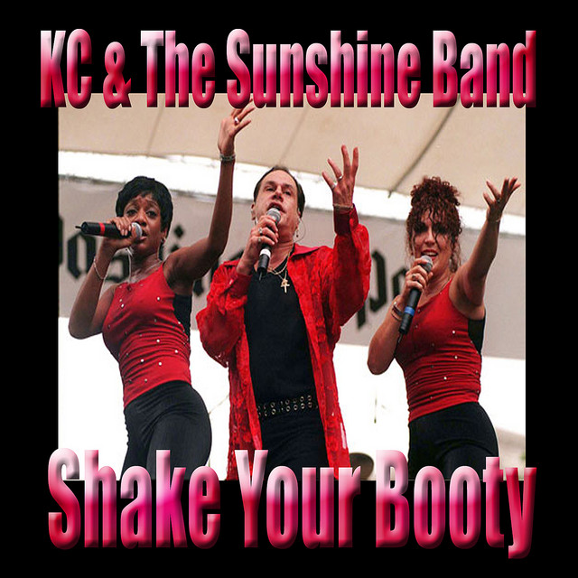 Shake Your Booty cover art