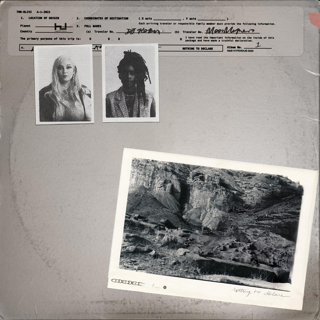 Nothing To Declare cover art