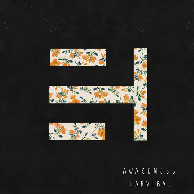 SOS Vibe album art