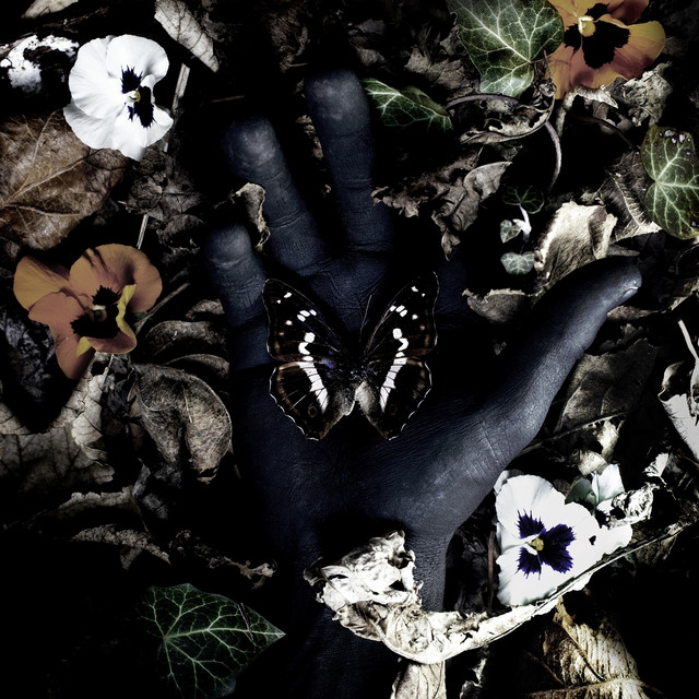 Metamørphose cover art