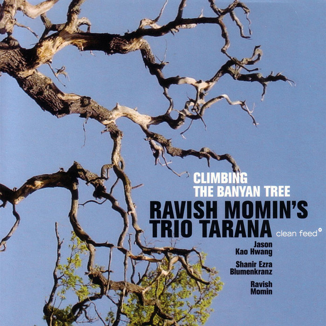 Climbing The Banyan Tree