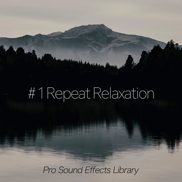 Forest Bell Bird - song and lyrics by Pro Sound Effects Library | Spotify