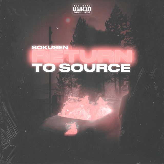 Return to Source cover art