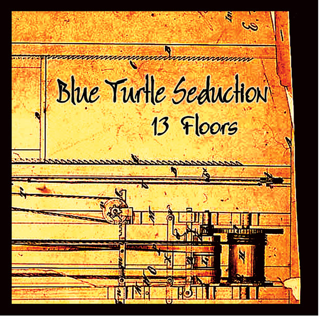 Blue Turtle Seduction Photo